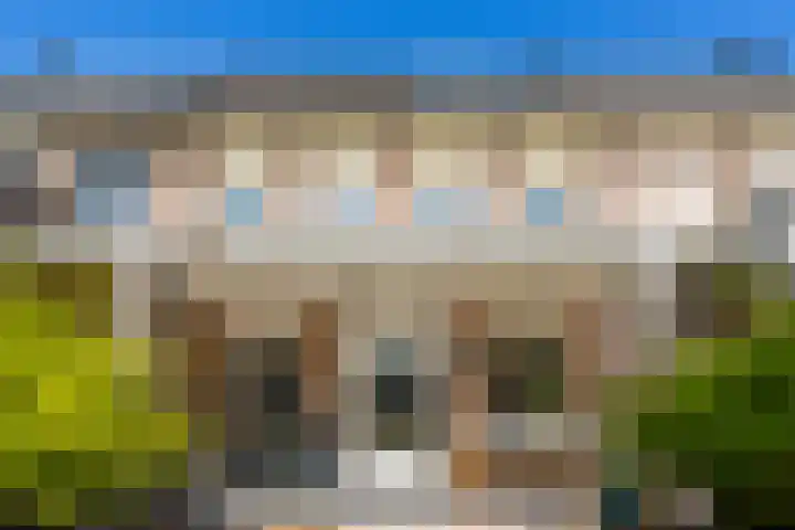 Wasbloem 8 Venray thumbnail 42