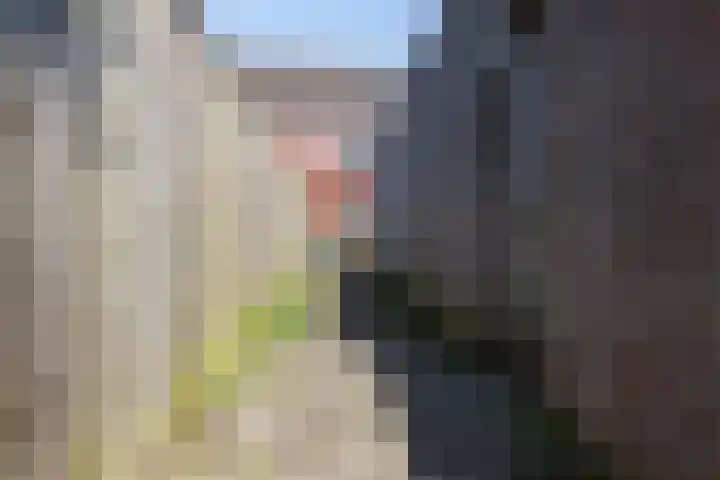 Wasbloem 8 Venray thumbnail 44