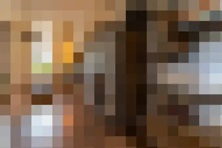 Wasbloem 8 Venray thumbnail 6