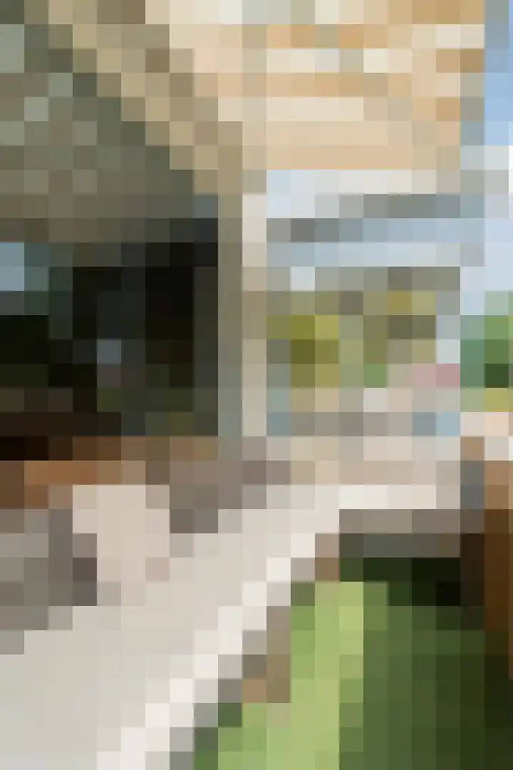 Washingtondreef 121 Utrecht thumbnail 7