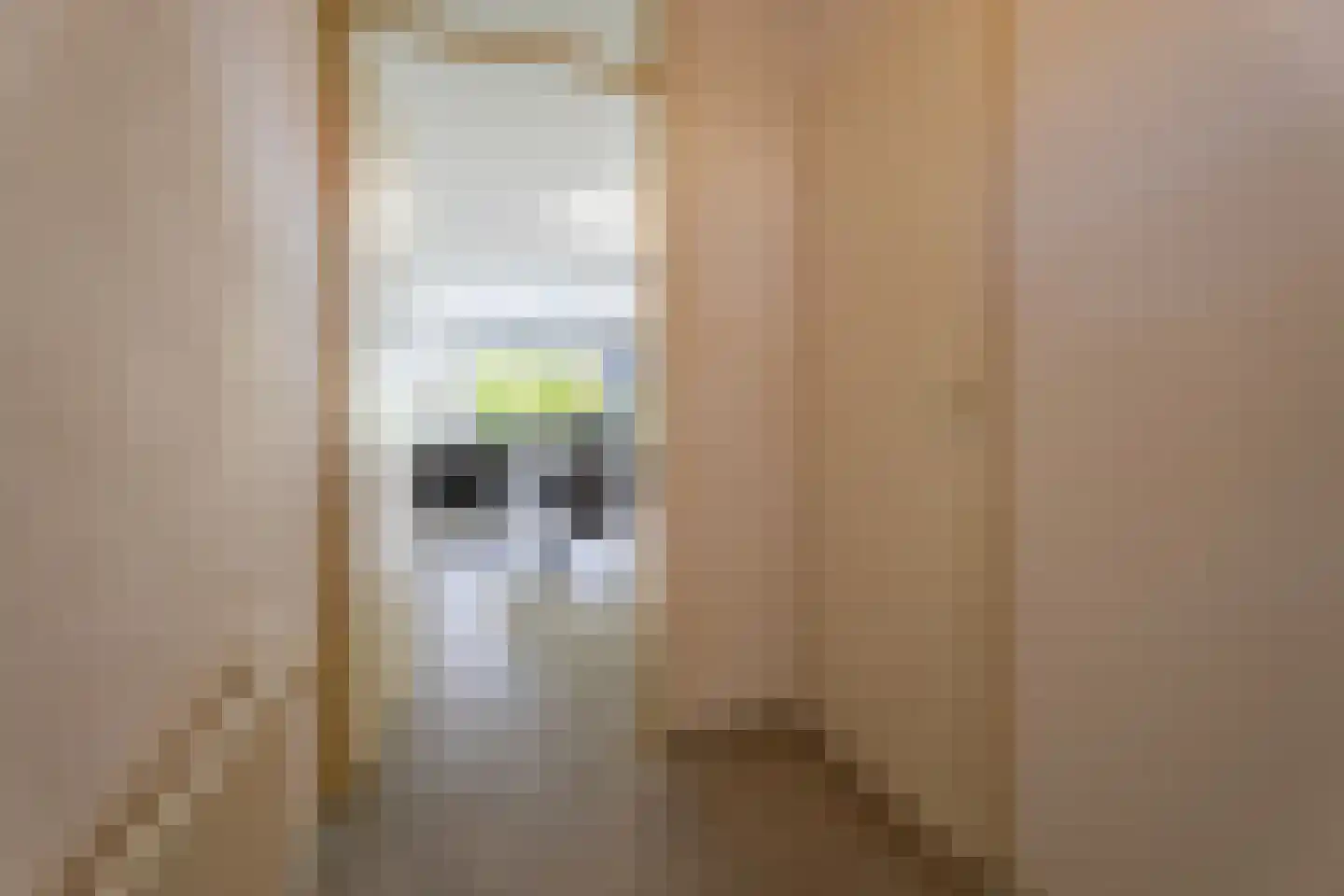 Washingtondreef 13 Utrecht thumbnail 18