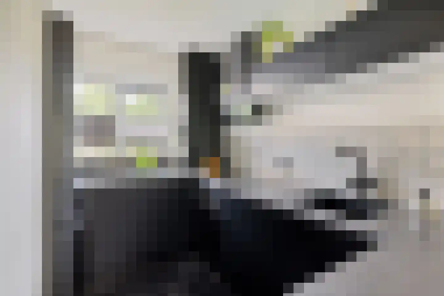 Washingtondreef 145 Utrecht thumbnail 17