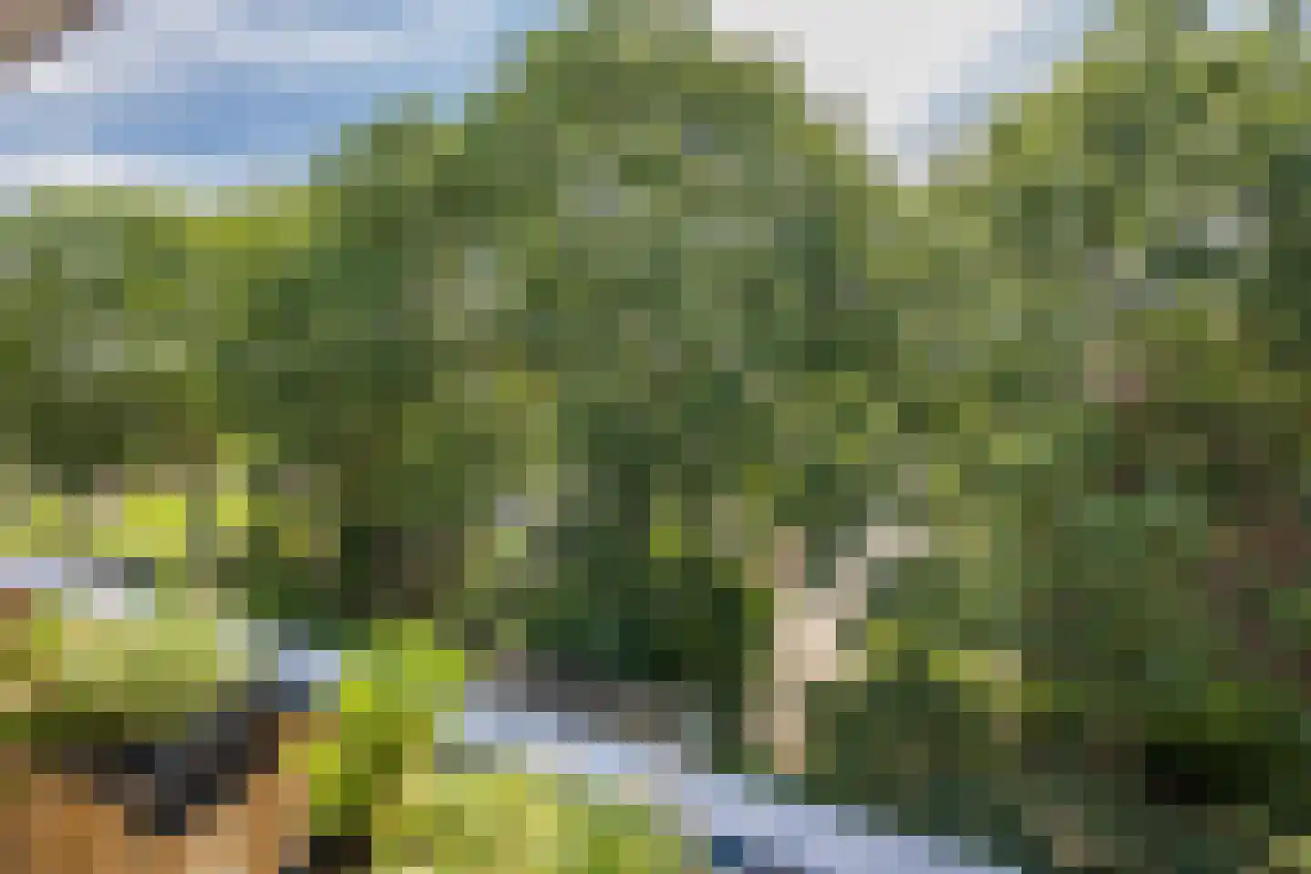 Washingtondreef 145 Utrecht thumbnail 22