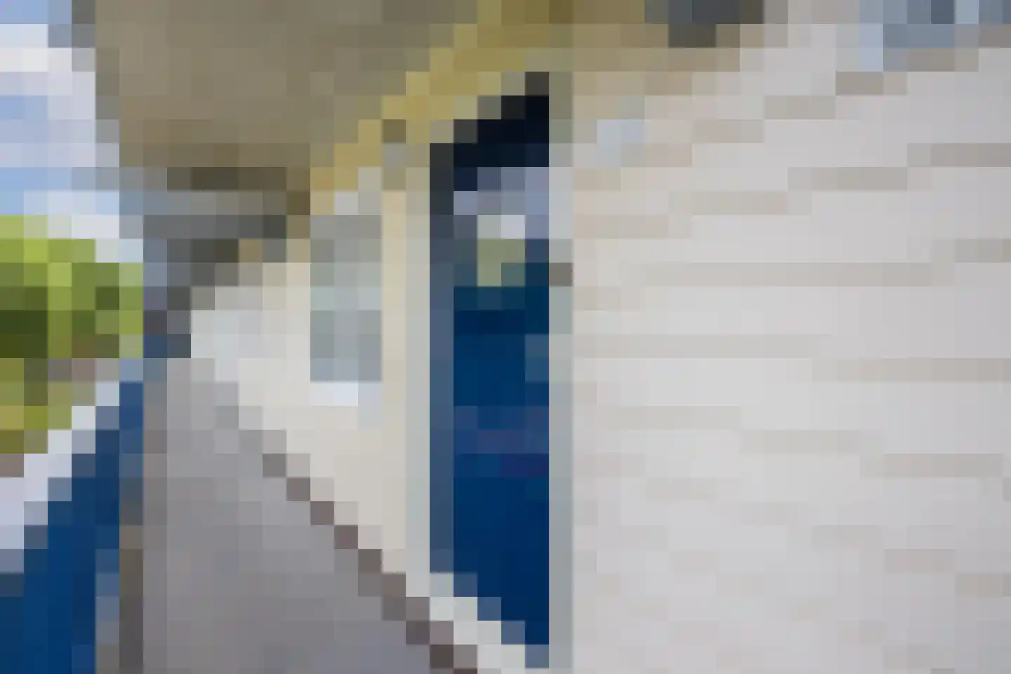 Washingtondreef 145 Utrecht thumbnail 8