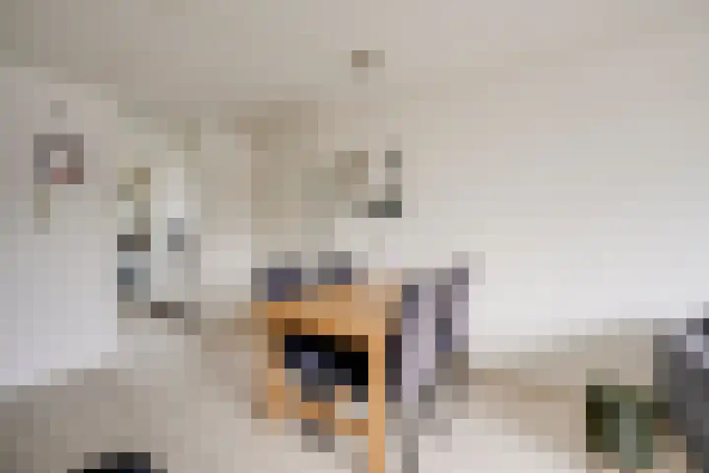 Washingtondreef 163 Utrecht thumbnail 18