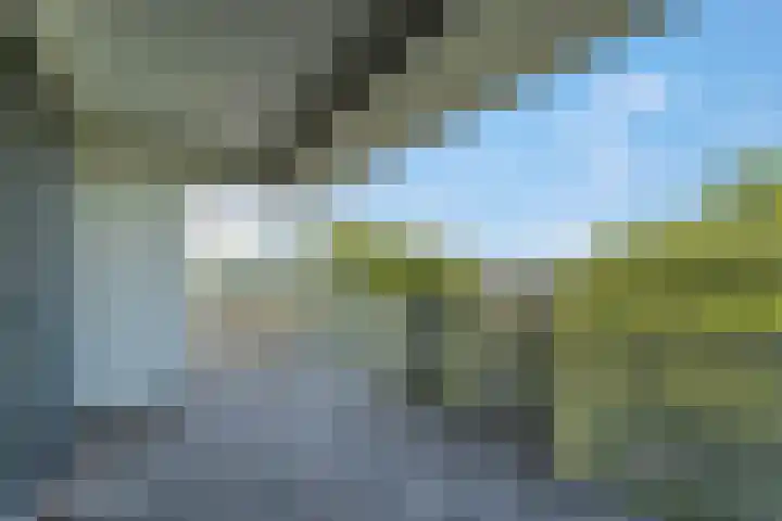 Washingtondreef 36 Ede thumbnail 20