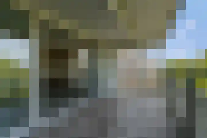 Washingtondreef 36 Ede thumbnail 22