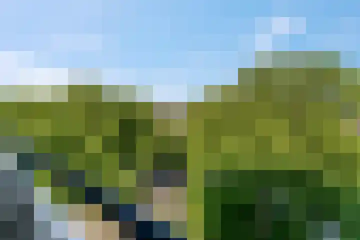 Washingtondreef 36 Ede thumbnail 23