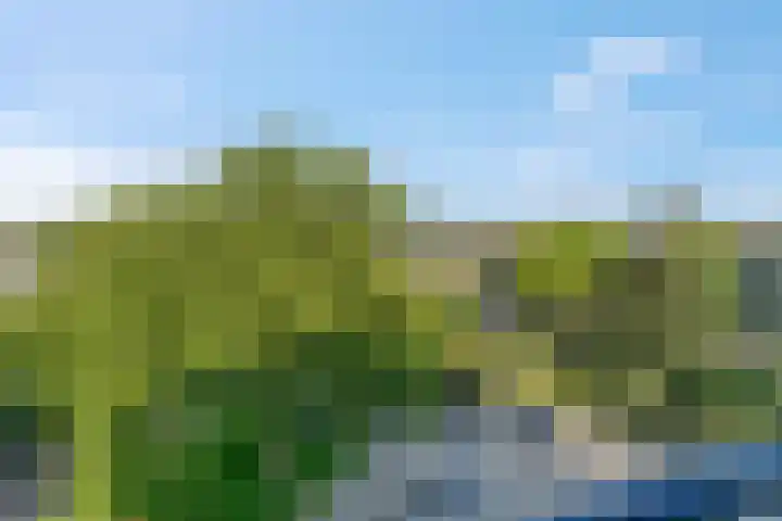 Washingtondreef 36 Ede thumbnail 24