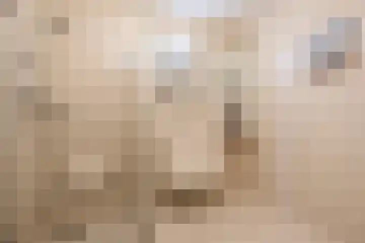 Washingtondreef 4 Ede thumbnail 17
