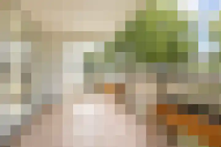 Washingtondreef 4 Ede thumbnail 22