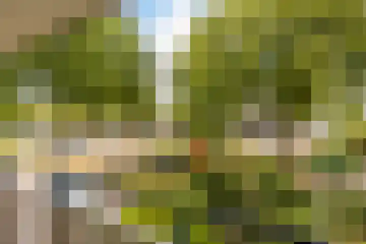 Washingtondreef 4 Ede thumbnail 24
