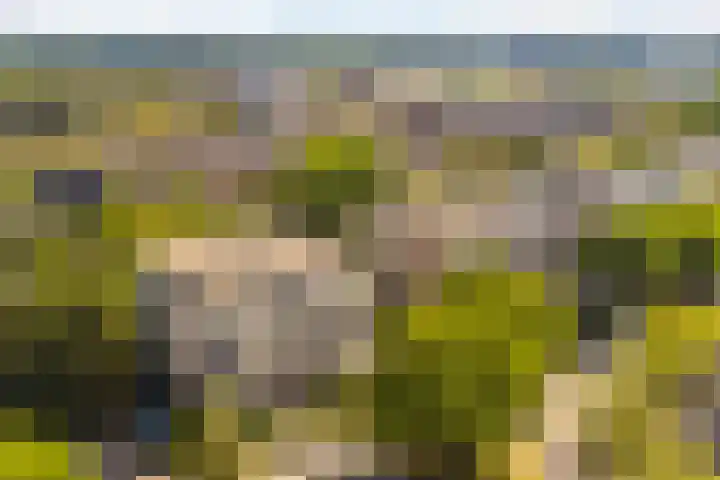 Washingtondreef 4 Ede thumbnail 26