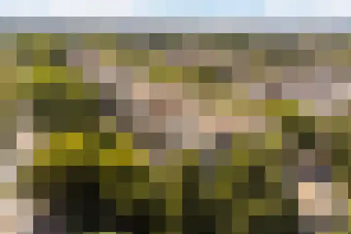 Washingtondreef 4 Ede thumbnail 27