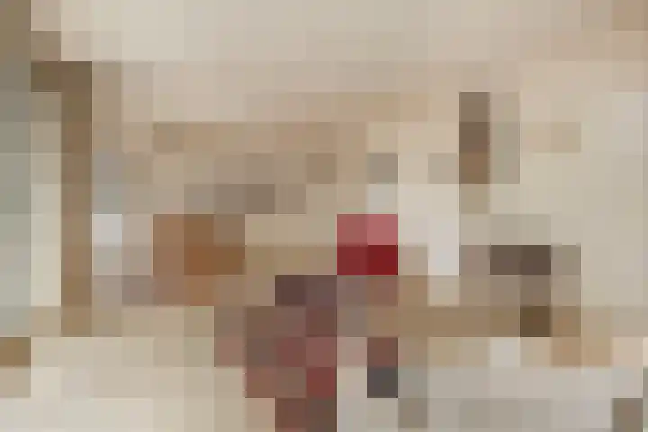 Washingtondreef 4 Ede thumbnail 8