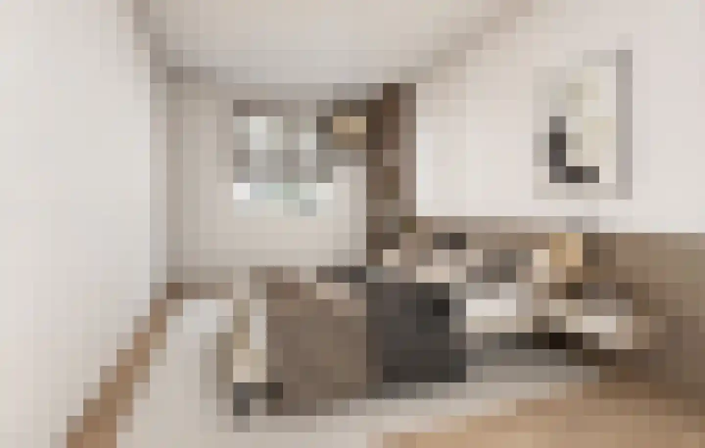 Washingtondreef 53 Utrecht thumbnail 18