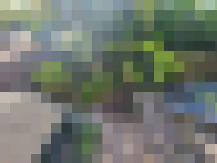 Washingtondreef 7 Utrecht thumbnail 12