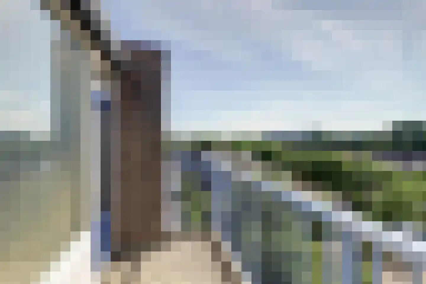 Washingtondreef 95 Utrecht thumbnail 11