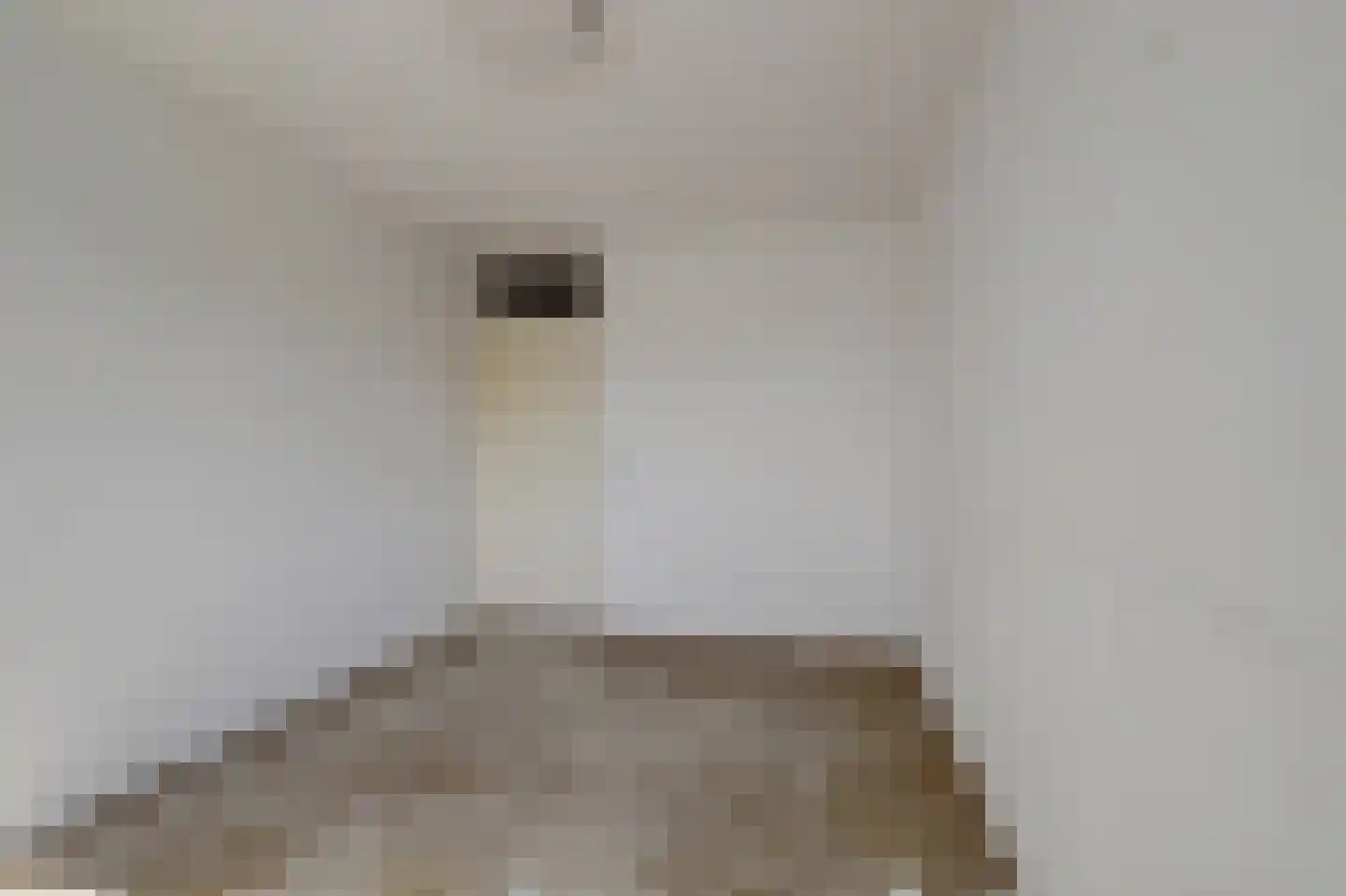 Washingtondreef 95 Utrecht thumbnail 17