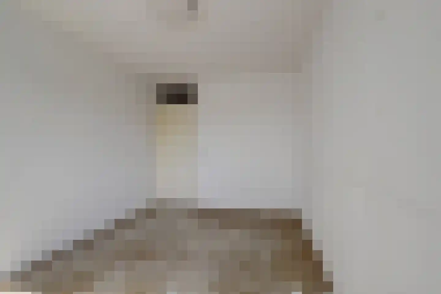 Washingtondreef 95 Utrecht thumbnail 19