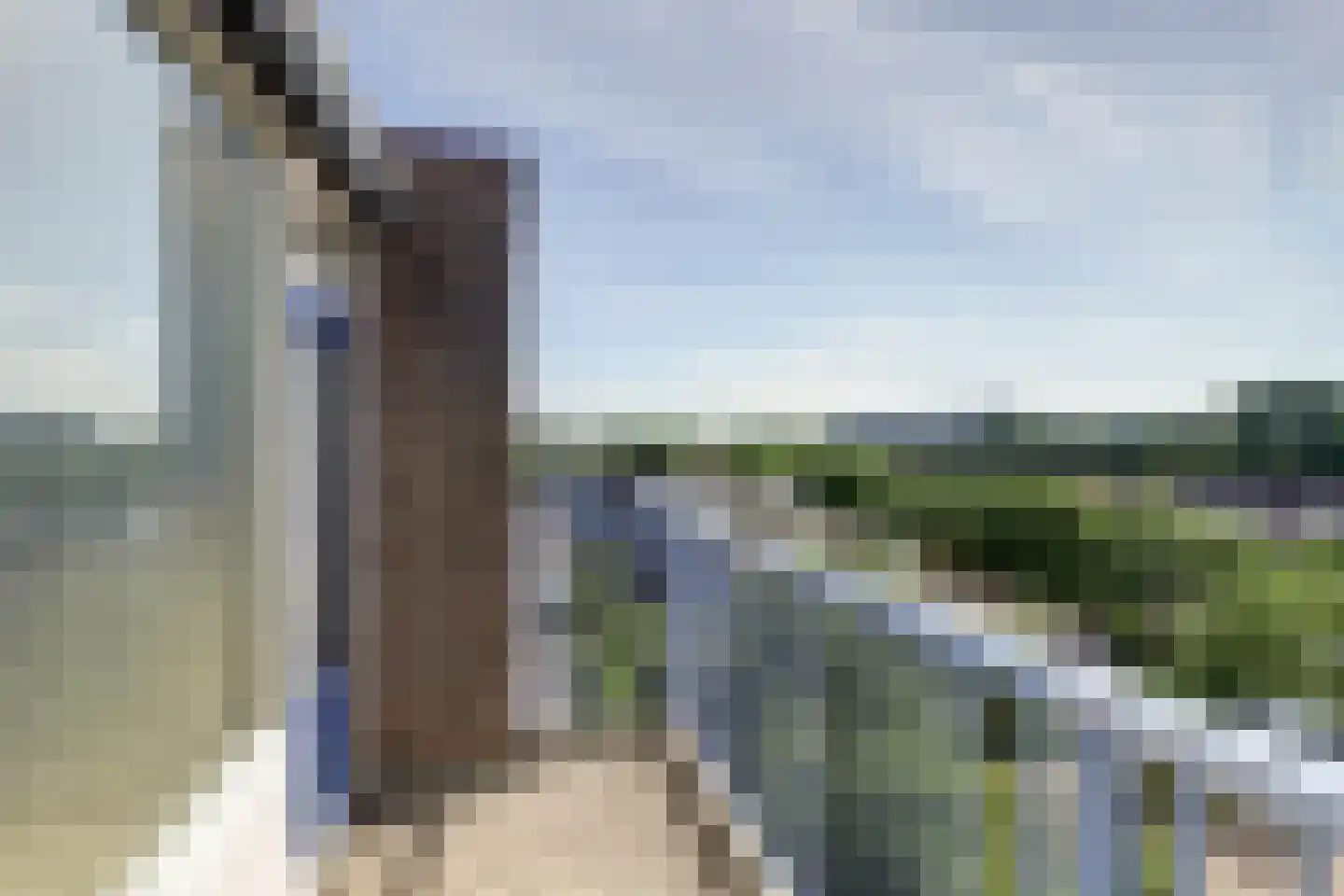 Washingtondreef 95 Utrecht thumbnail 9