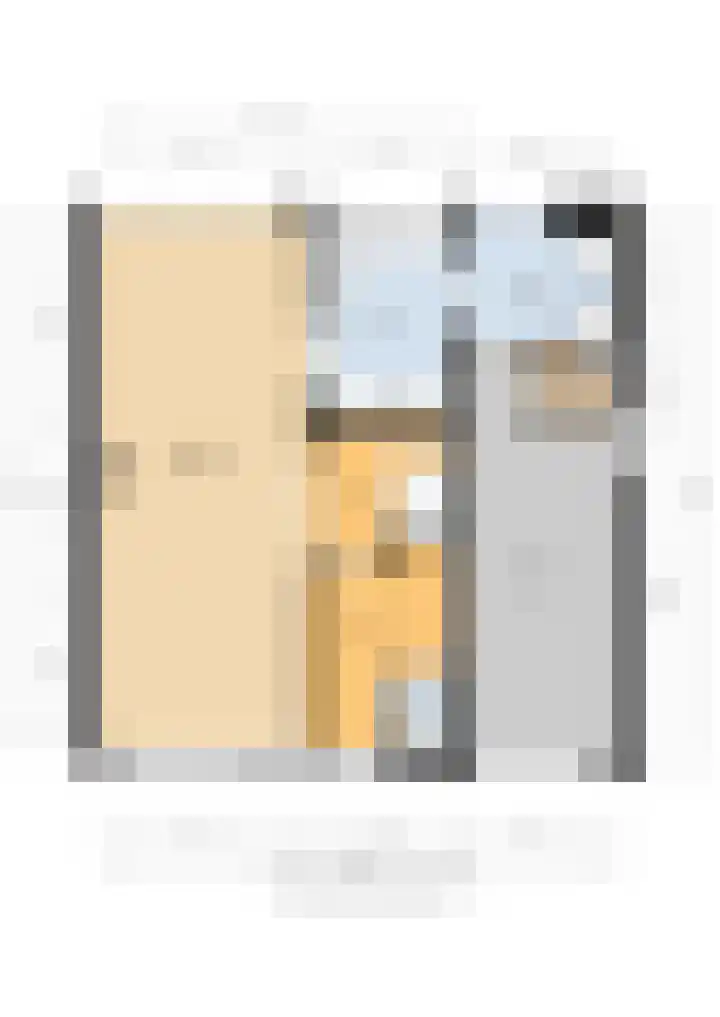 Washingtonstraat 16 Oude-Tonge thumbnail 35
