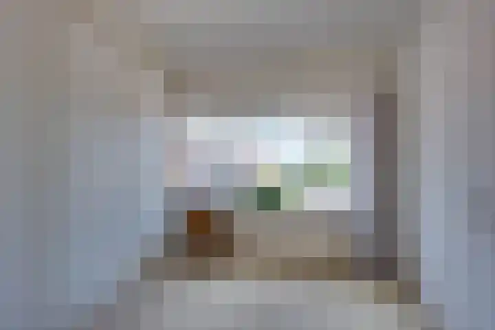 Washingtonstraat 6 Oude-Tonge thumbnail 32
