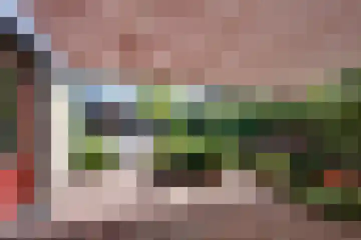 Washingtonstraat 6 Oude-Tonge thumbnail 38