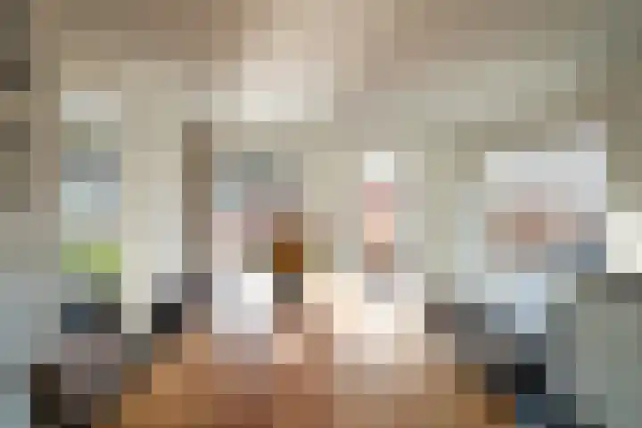 Waspikse weg 17 A 's Gravenmoer thumbnail 12