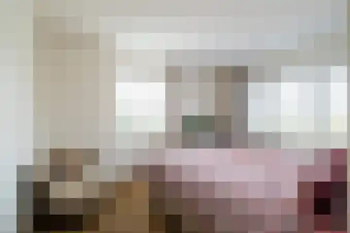 Waspikse weg 17 A 's Gravenmoer thumbnail 16