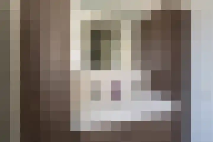 Waspikse weg 17 A 's Gravenmoer thumbnail 25