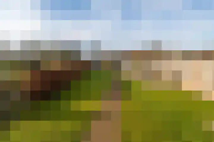 Waspikse weg 17 A 's Gravenmoer thumbnail 30