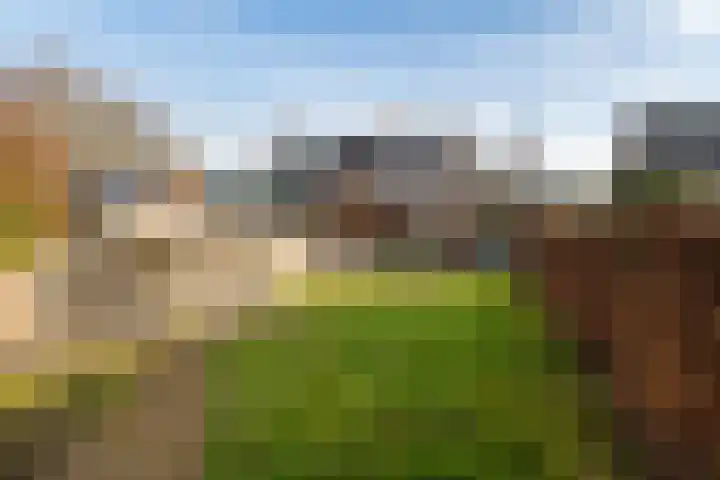 Waspikse weg 17 A 's Gravenmoer thumbnail 31