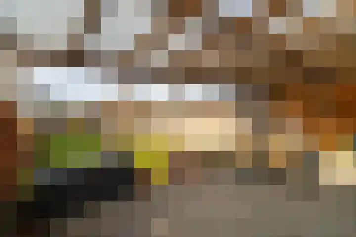 Waspikse weg 17 A 's Gravenmoer thumbnail 32