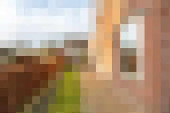 Waspikse weg 17 A 's Gravenmoer thumbnail 33