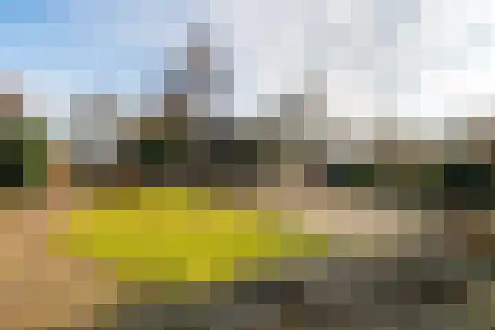 Waspikse weg 17 A 's Gravenmoer thumbnail 34