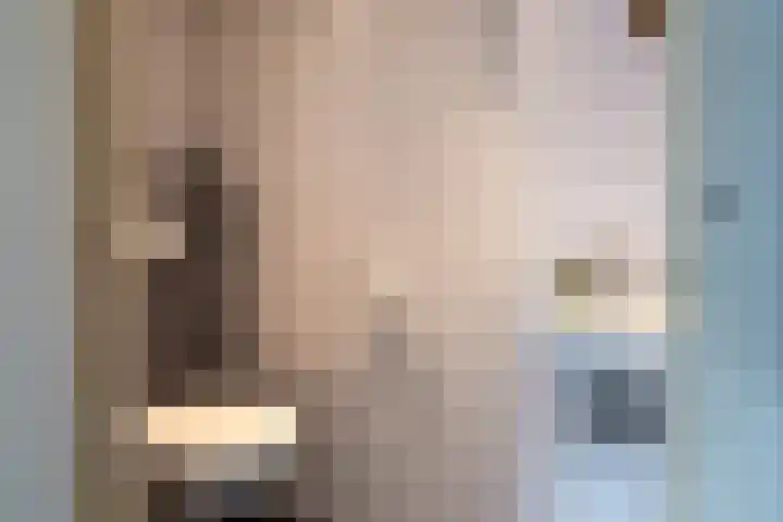Waspikse weg 17 A 's Gravenmoer thumbnail 5