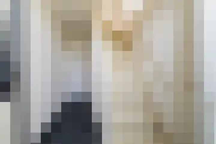 Waspikse weg 17 A 's Gravenmoer thumbnail 6