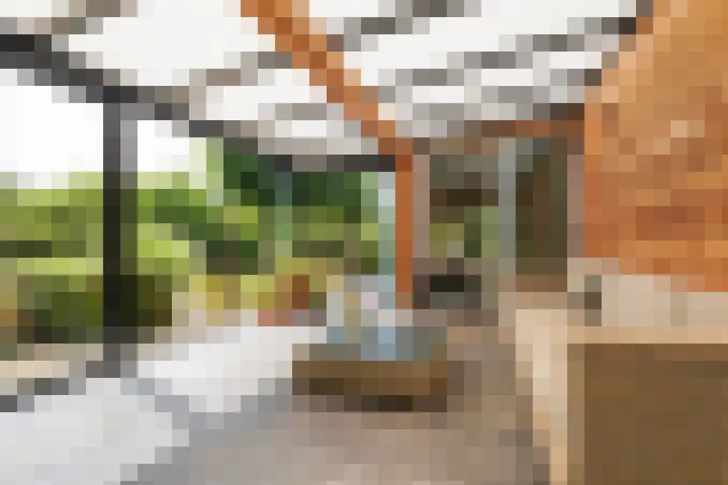 Waspiksedijk 27 Sprang-Capelle thumbnail 22
