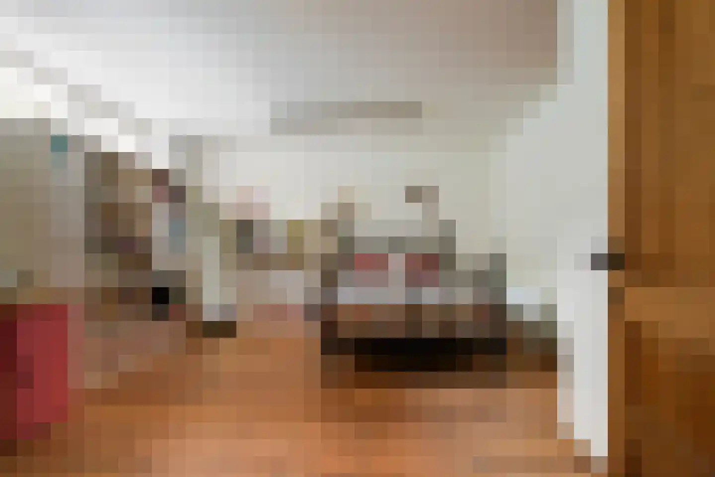 Waspiksedijk 27 Sprang-Capelle thumbnail 25