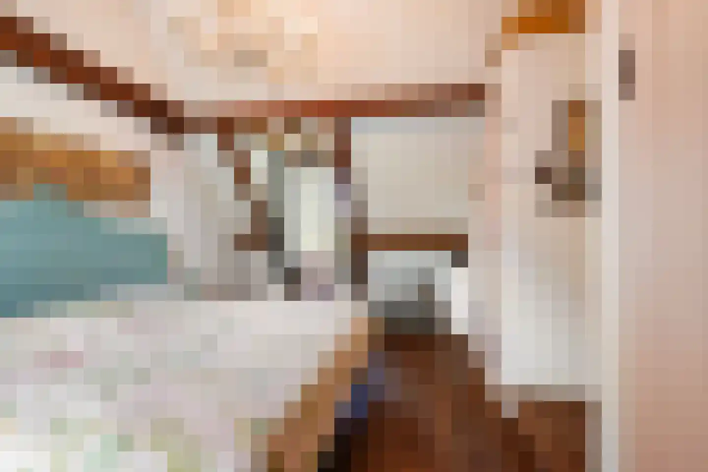 Waspiksedijk 27 Sprang-Capelle thumbnail 31