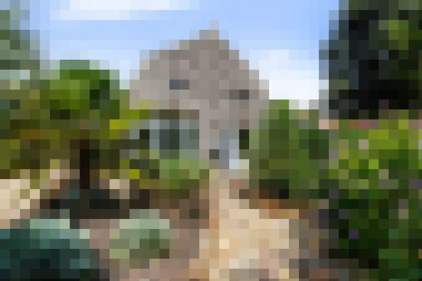 Waspiksedijk 27 Sprang-Capelle thumbnail 43