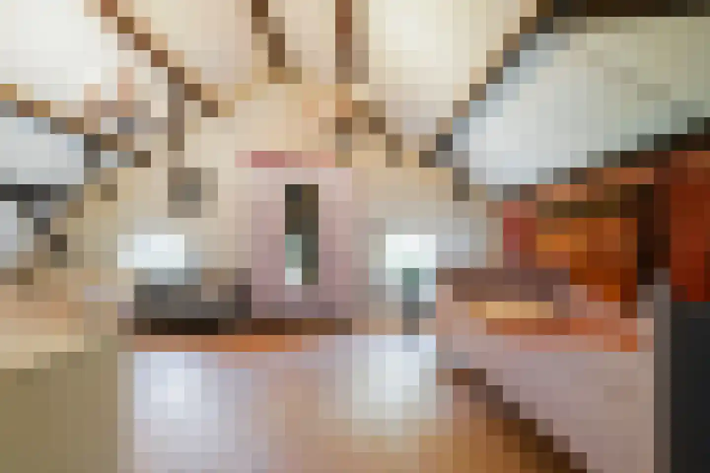 Waspiksedijk 27 Sprang-Capelle thumbnail 51