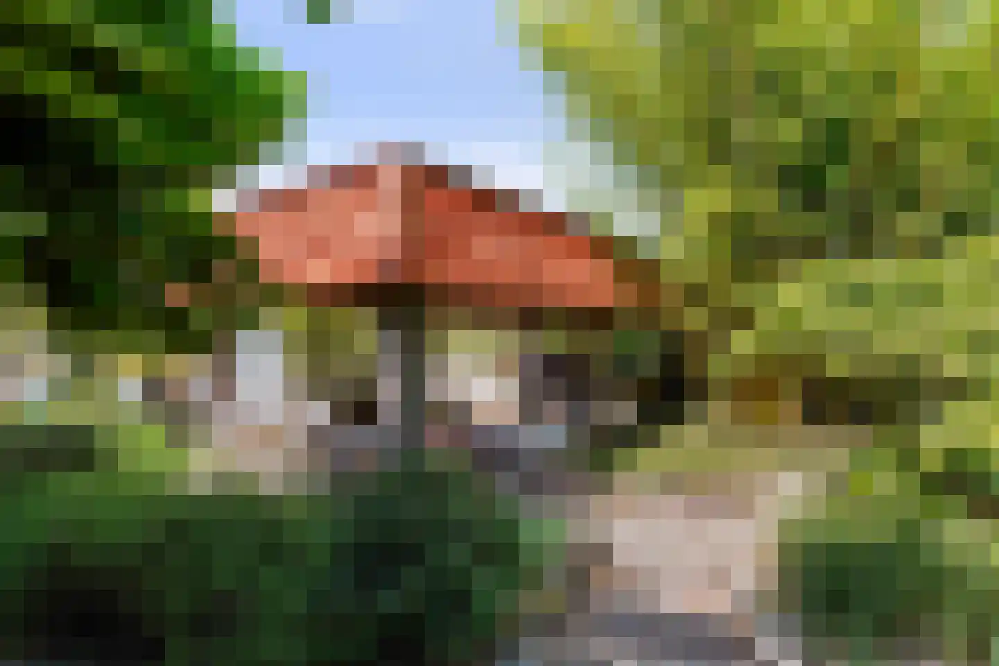 Waspiksedijk 27 Sprang-Capelle thumbnail 62