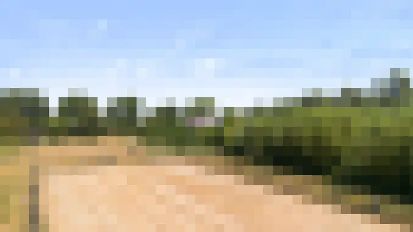 Waspiksedijk 27 Sprang-Capelle thumbnail 66