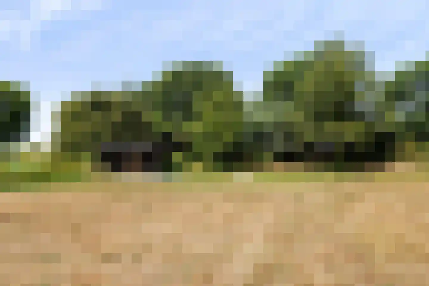 Waspiksedijk 27 Sprang-Capelle thumbnail 67