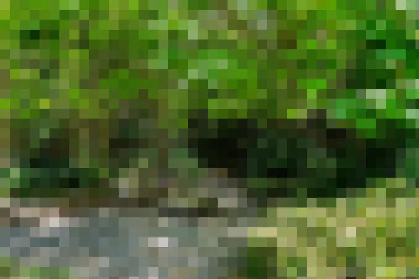 Waspiksedijk 27 Sprang-Capelle thumbnail 69