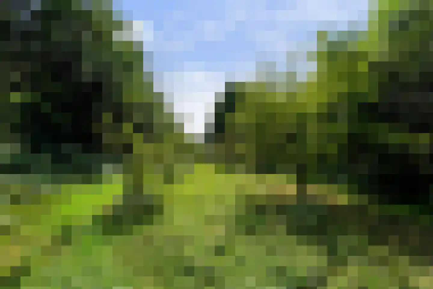Waspiksedijk 27 Sprang-Capelle thumbnail 70