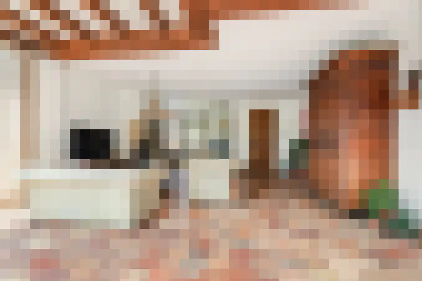 Waspiksedijk 27 Sprang-Capelle thumbnail 8