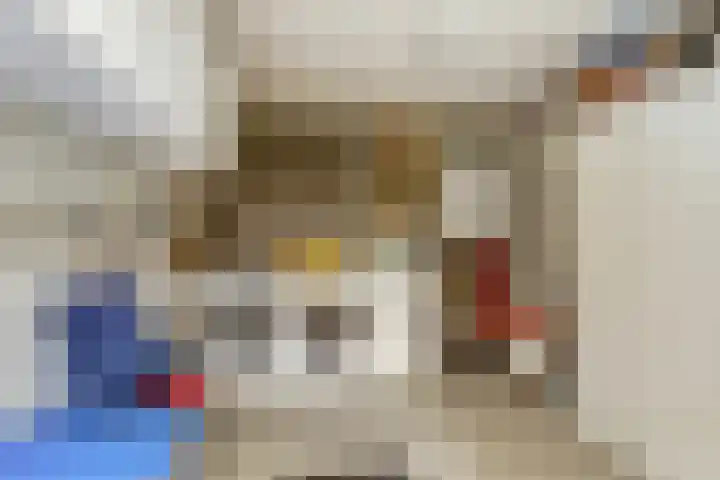 Waspiksedijk 3 Sprang-Capelle thumbnail 12